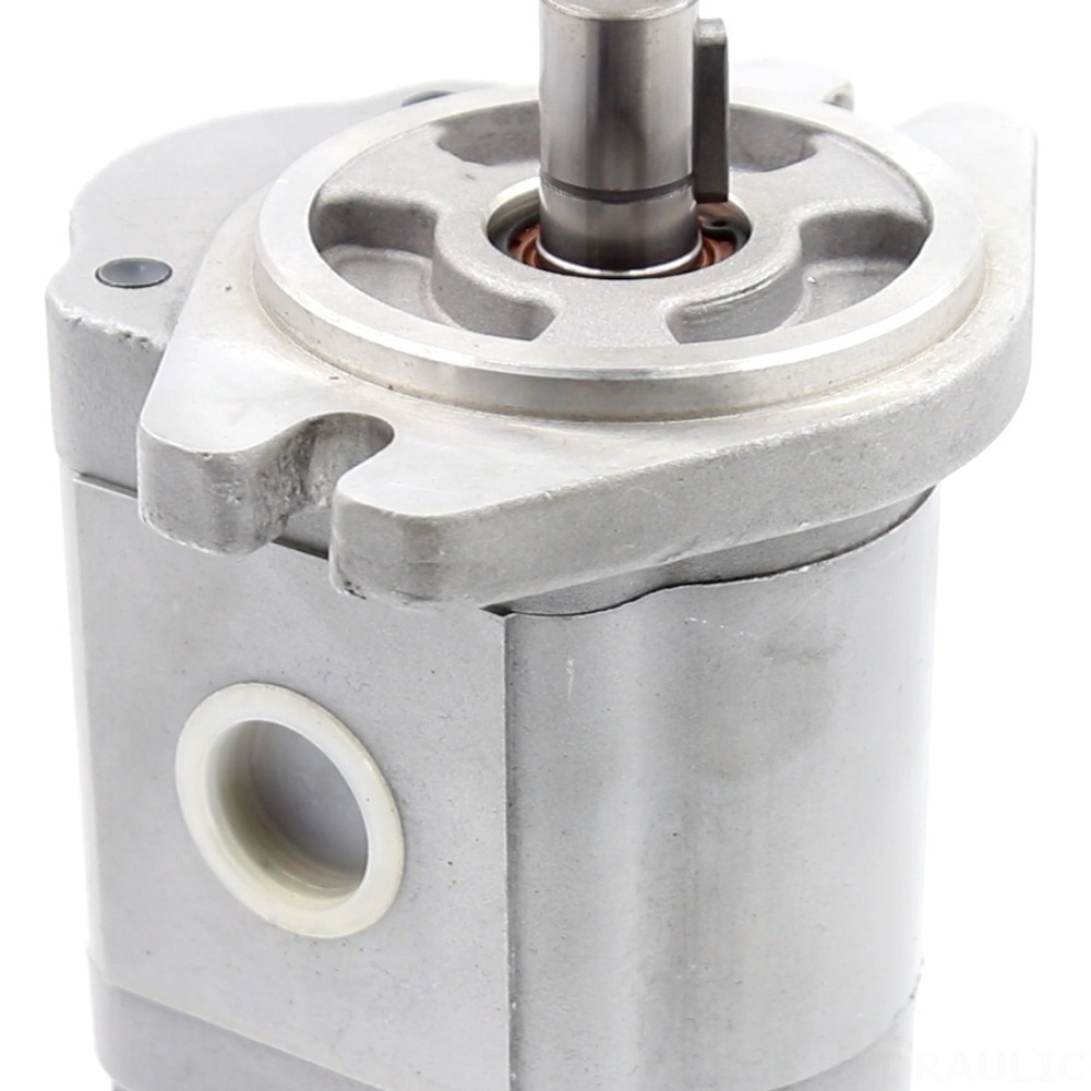 CBHS-F316 16 cc/rev Hydraulic Gear Pump detail image