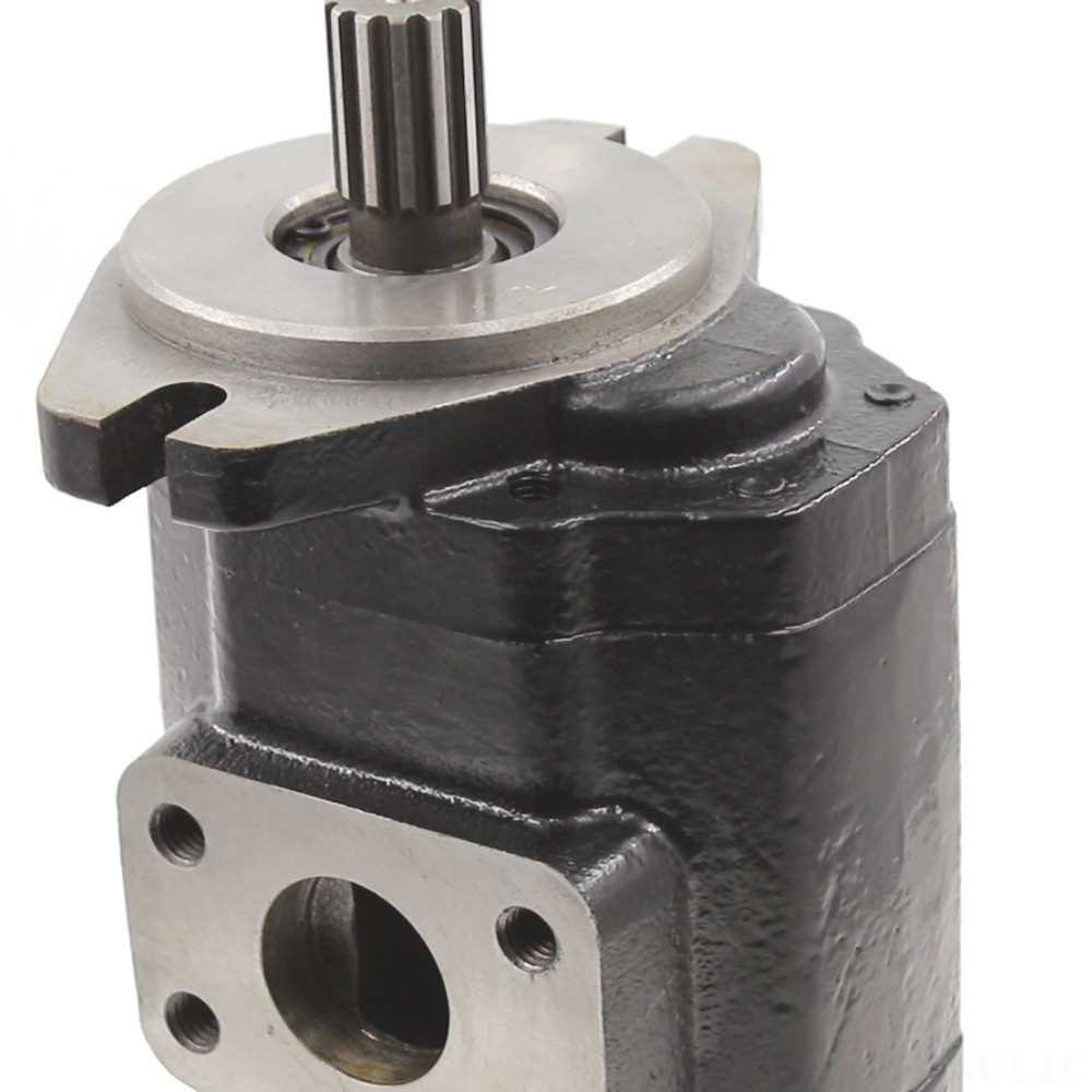 CBHS-F420 20 cc/rev Hydraulic Gear Pump detail image