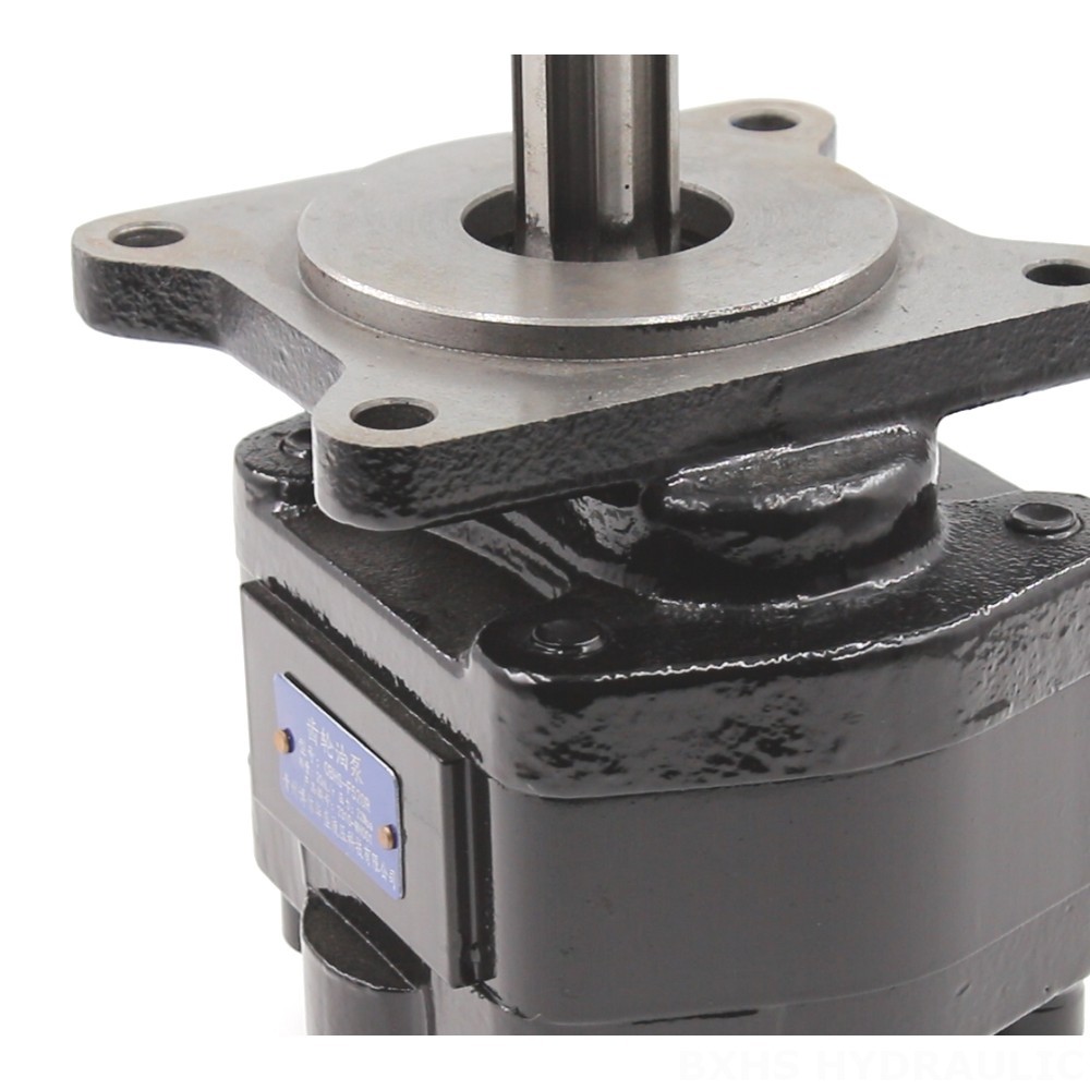 CBHS-F520R 20 cc/rev Hydraulic Gear Pump detail image