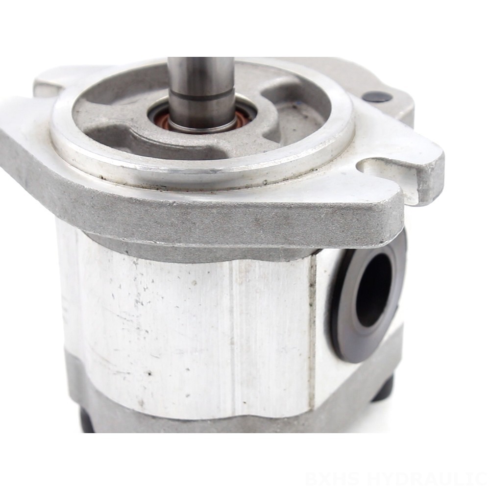 CBHS-FL-306 6 cc/rev Hydraulic Gear Pump detail image