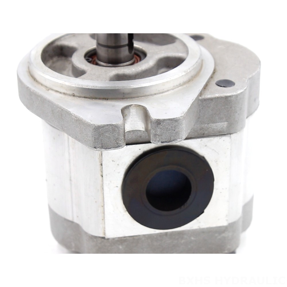 CBHS-FL-306 6 cc/rev Hydraulic Gear Pump detail image